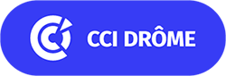 Logo CCI France